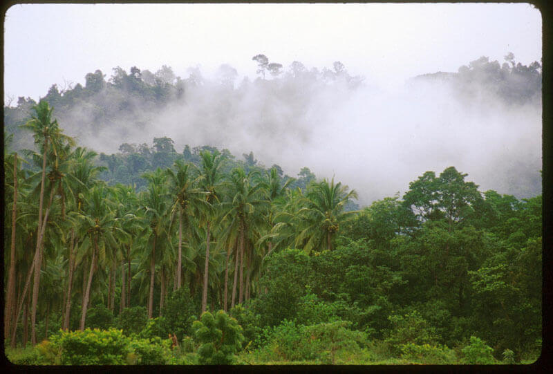 Photo courtesy of the David and Lucile Packard Foundation.