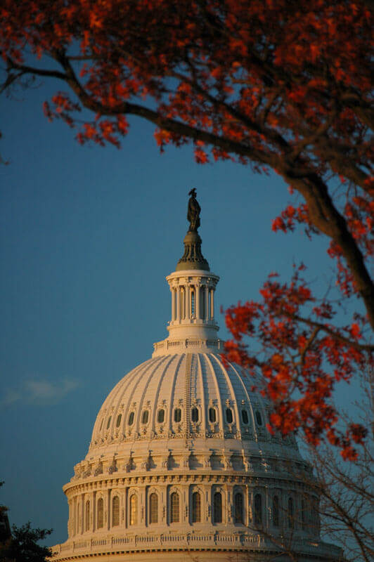 Congress is back from Congress. Photo: Name